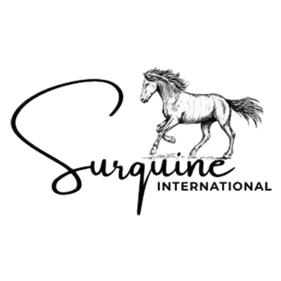 SURQUINE INTERNATIONAL